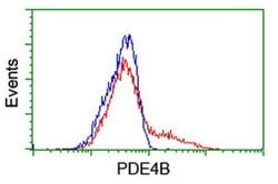 PDE4B Monoclonal Antibody (OTI3A10), TrueMAB , OriGene 100 &mu;L; Unconjugated:Antibodies,