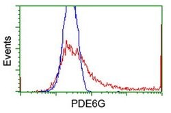PDE6G Monoclonal Antibody (OTI1F3), TrueMAB , OriGene 30 &mu;L; Unconjugated:Antibodies,
