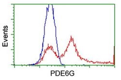 PDE6G Monoclonal Antibody (OTI1E11), TrueMAB , OriGene 100 &mu;L; Unconjugated:Antibodies,