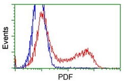 PDF Mouse anti-Human, Clone: OTI3C12, liquid, TrueMAB 100 &mu;L; Unconjugated:Antibodies,