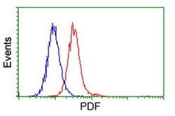 PDF Mouse anti-Human, Clone: OTI3C12, liquid, TrueMAB 100 &mu;L; Unconjugated:Antibodies,