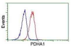 PDHA1 Monoclonal Antibody (OTI2C10), TrueMAB , OriGene 100 &mu;L; Unconjugated:Antibodies,