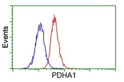 PDHA1 Monoclonal Antibody (OTI2C10), TrueMAB , OriGene 100 &mu;L; Unconjugated:Antibodies,