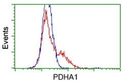PDHA1 Monoclonal Antibody (OTI2B10), TrueMAB , OriGene 30 &mu;L; Unconjugated:Antibodies,