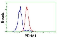 PDHA1 Monoclonal Antibody (OTI2B10), TrueMAB , OriGene 30 &mu;L; Unconjugated:Antibodies,