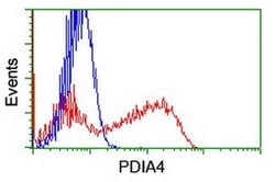 PDIA4 Monoclonal Antibody (OTI6B6), TrueMAB , OriGene 100 &mu;L; Unconjugated:Antibodies,