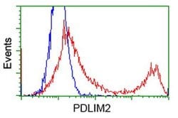 PDLIM2 Monoclonal Antibody (OTI1D12), TrueMAB , OriGene:Antibodies:Primary