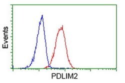 PDLIM2 Monoclonal Antibody (OTI1D12), TrueMAB , OriGene:Antibodies:Primary