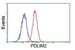 PDLIM2 Mouse anti-Human, Clone: OTI1D12, lyophilized, TrueMAB 100 &mu;g;