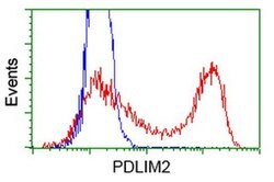 PDLIM2 Monoclonal Antibody (OTI9B6), TrueMAB , OriGene 100 &mu;L; Unconjugated:Antibodies,
