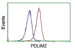 PDLIM2 Monoclonal Antibody (OTI9B6), TrueMAB , OriGene 100 &mu;L; Unconjugated:Antibodies,