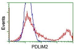 PDLIM2 Monoclonal Antibody (OTI12A5), TrueMAB , OriGene 100 &mu;L; Unconjugated:Antibodies,