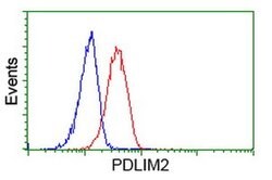 PDLIM2 Monoclonal Antibody (OTI12A5), TrueMAB , OriGene 100 &mu;L; Unconjugated:Antibodies,