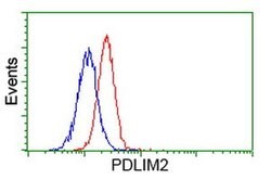 PDLIM2 Monoclonal Antibody (OTI12A5), TrueMAB , OriGene 100 &mu;L; Unconjugated:Antibodies,