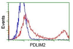 PDLIM2 Monoclonal Antibody (OTI9A11), TrueMAB , OriGene 30 &mu;L; Unconjugated:Antibodies,