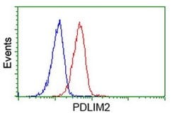 PDLIM2 Monoclonal Antibody (OTI9A11), TrueMAB , OriGene 30 &mu;L; Unconjugated:Antibodies,