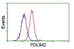 PDLIM2 Monoclonal Antibody (OTI9A11), TrueMAB , OriGene 30 &mu;L; Unconjugated:Antibodies,
