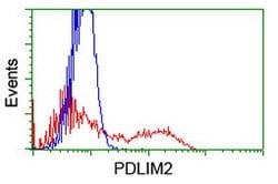PDLIM2 Mouse anti-Human, Clone: OTI14D9, lyophilized, TrueMAB 100 &mu;g;