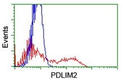PDLIM2 Monoclonal Antibody (OTI14D9), TrueMAB , OriGene 30 &mu;L | Buy Online | Origene Technologies | Fisher Scientific