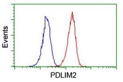 PDLIM2 Mouse anti-Human, Clone: OTI14D9, lyophilized, TrueMAB 100 &mu;g;