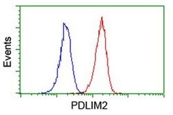 PDLIM2 Monoclonal Antibody (OTI14D9), TrueMAB , OriGene 30 &mu;L | Buy Online | Origene Technologies | Fisher Scientific