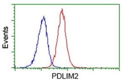 PDLIM2 Monoclonal Antibody (OTI15C1), TrueMAB , OriGene:Antibodies:Primary