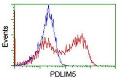 PDLIM5 Monoclonal Antibody (OTI1H10), TrueMAB , OriGene 30 &mu;L; Unconjugated:Antibodies,