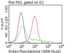 PDPN Monoclonal Antibody (OTI3H5), TrueMAB , OriGene 100 μL; Unconjugated:Antibodies,