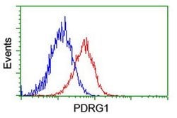 PDRG1 Monoclonal Antibody (OTI4F12), TrueMAB , OriGene 30 &mu;L | Buy Online | OriGene | Fisher Scientific