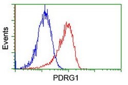 PDRG1 Mouse anti-Human, Clone: OTI4F12, lyophilized, TrueMAB 100 &mu;g;
