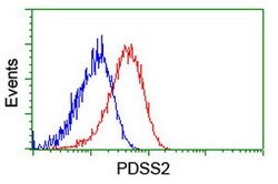 PDSS2 Mouse anti-Human, Clone: OTI1D2, lyophilized, TrueMAB 100 &mu;g | Buy Online | OriGene | Fisher Scientific
