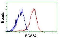 PDSS2 Monoclonal Antibody (OTI1D10), TrueMAB , OriGene:Antibodies:Primary