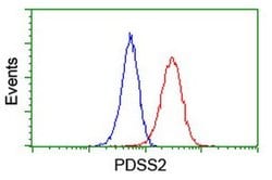 PDSS2 Monoclonal Antibody (OTI1D10), TrueMAB , OriGene 30 &mu;L; Unconjugated:Antibodies,