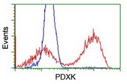 PDXK Mouse anti-Human, Clone: OTI5H5, lyophilized, TrueMAB 100 &mu;g; Unconjugated:Antibodies,