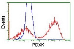 PDXK Monoclonal Antibody (OTI5H5), TrueMAB , OriGene:Antibodies:Primary