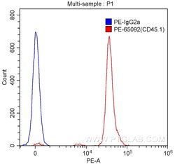 CD45.1 Mouse anti-Mouse, PE, Clone: A20, Proteintech 100 &mu;g:Antikörper