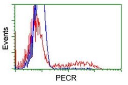 PECR Monoclonal Antibody (OTI2B2), TrueMAB , OriGene 30 &mu;L; Unconjugated:Antibodies,