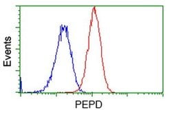 PEPD Monoclonal Antibody (OTI5D5), TrueMAB , OriGene 100 &mu;L; Unconjugated:Antibodies,
