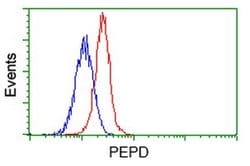 PEPD Monoclonal Antibody (OTI5D5), TrueMAB , OriGene 100 &mu;L; Unconjugated:Antibodies,