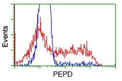 PEPD Mouse anti-Human, Clone: OTI1B7, lyophilized, TrueMAB 100 &mu;g; Unconjugated:Antibodies,