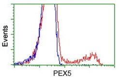 PEX5 Mouse anti-Canine, Human, Rat, Clone: OTI6E9, lyophilized, TrueMAB