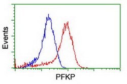 PFKP Mouse anti-Human, Clone: OTI1F2, lyophilized, TrueMAB 100 &mu;g; Unconjugated:Antibodies,