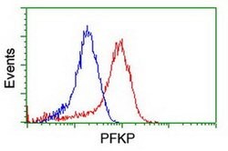 PFKP Mouse anti-Human, Clone: OTI1F2, liquid, TrueMAB 100 &mu;L; Unconjugated:Antibodies,