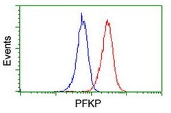 PFKP Mouse anti-Human, Clone: OTI1F2, lyophilized, TrueMAB 100 &mu;g; Unconjugated:Antibodies,