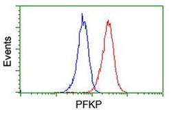 PFKP Mouse anti-Human, Clone: OTI1F2, liquid, TrueMAB 100 &mu;L; Unconjugated:Antibodies,