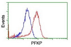 PFKP Monoclonal Antibody (OTI3A12), TrueMAB , OriGene:Antibodies:Primary