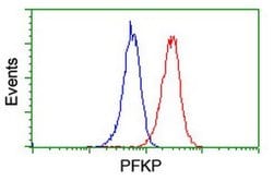 PFKP Monoclonal Antibody (OTI3A12), TrueMAB , OriGene 100 &mu;L; Unconjugated:Antibodies,
