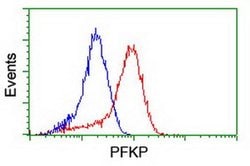PFKP Monoclonal Antibody (OTI2E10), TrueMAB , OriGene 100 &mu;L; Unconjugated:Antibodies,