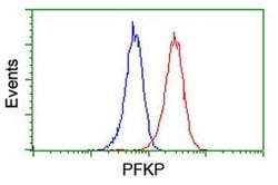 PFKP Monoclonal Antibody (OTI2E10), TrueMAB , OriGene 100 &mu;L; Unconjugated:Antibodies,
