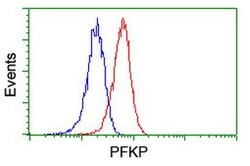 PFKP Mouse anti-Human, Mouse, Rat, Clone: OTI1D6, lyophilized, TrueMAB 100 &mu;g | Buy Online | Origene Technologies | Fisher Scientific